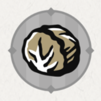 中品質キャベツ